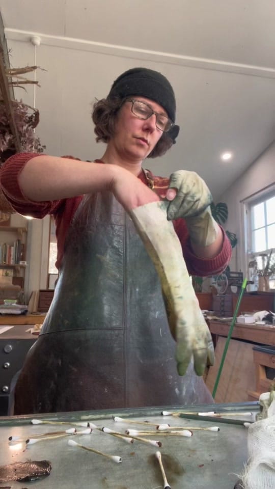 Post 8 by Bridget Farmer on TikTok (video)