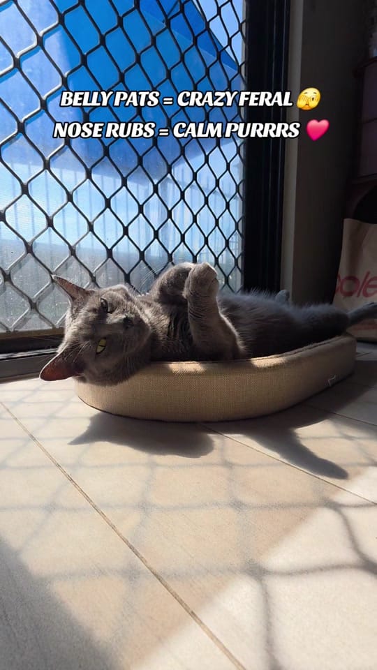 Post 4 by Nouveau Baker on TikTok (video)