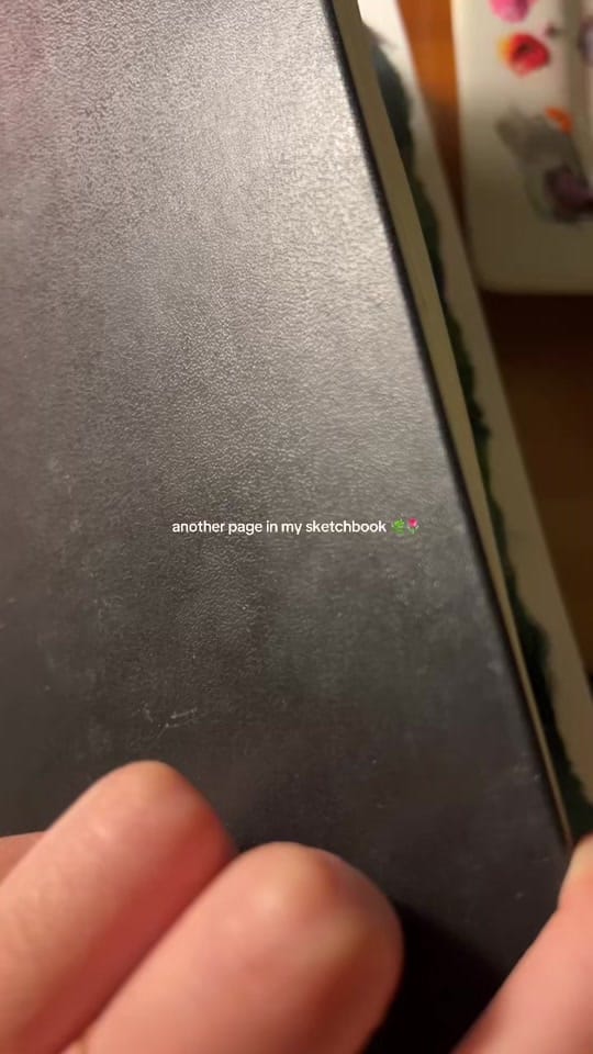 Post 8 by Janice on TikTok (video)