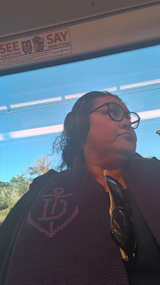 Post 1 by JuanitaKaye 🇦🇺🦘🎨❌ on TikTok (video)