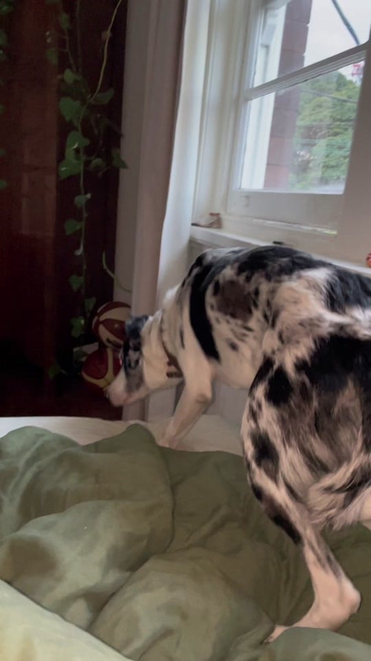 Post 8 by rhi on TikTok (video)