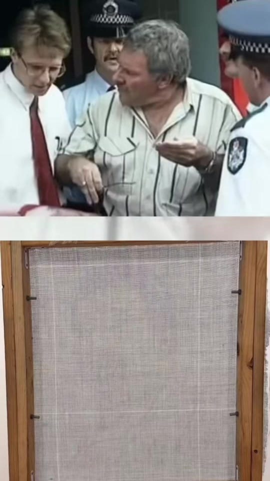 Post 1 by rlrugs on TikTok (video)