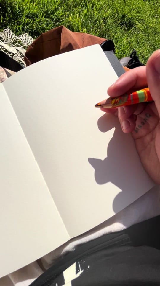 Post 4 by Frances Cannon on TikTok (video)
