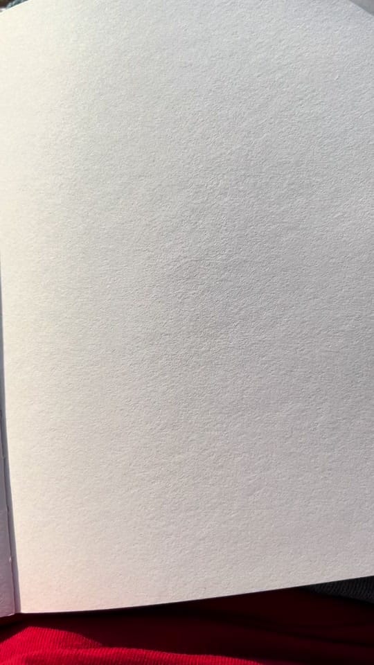 Post 9 by Frances Cannon on TikTok (video)
