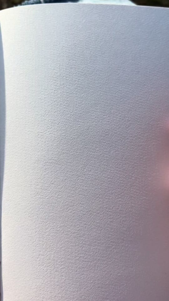 Post 10 by Frances Cannon on TikTok (video)