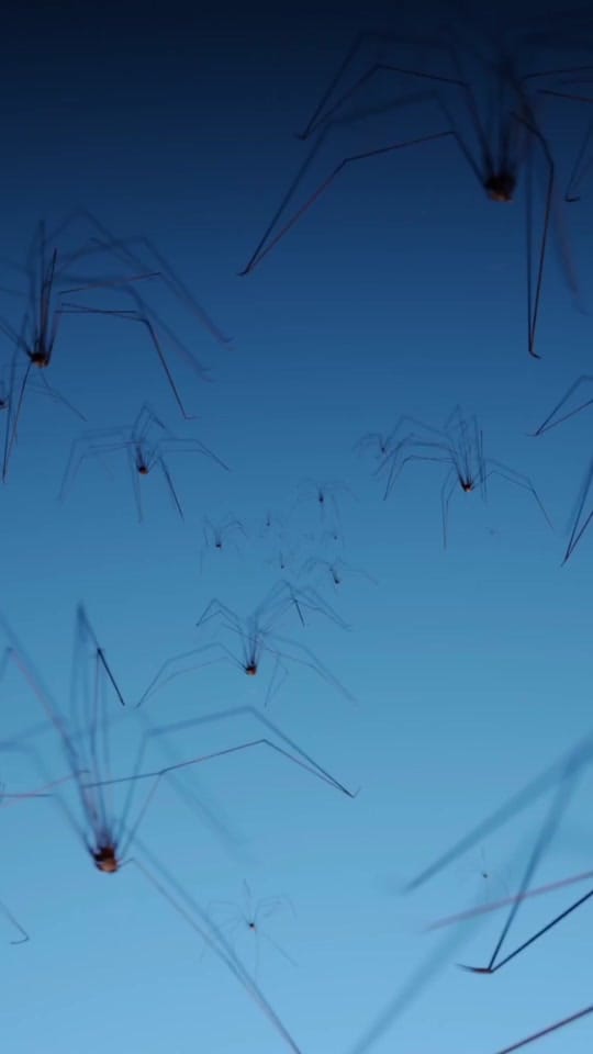 Post 3 by Thom Berard on TikTok (video)