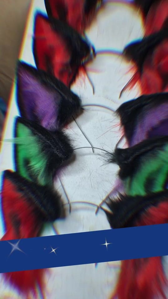 Post 1 by Feli-Fae on TikTok (video)