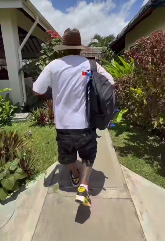 Post 8 by Don Falcone Official on TikTok (video)