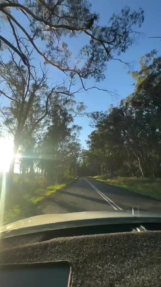 Post 4 by corbintattoos on TikTok (video)