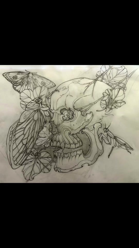 Post 1 by Emily Rose Murray on TikTok (video)