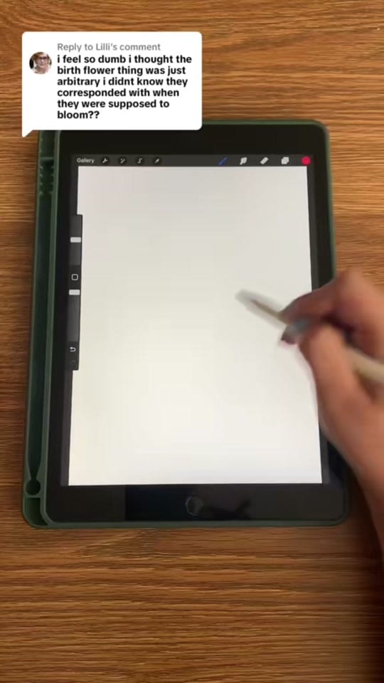 Post 3 by ArtbyBiancaRose on TikTok (video)
