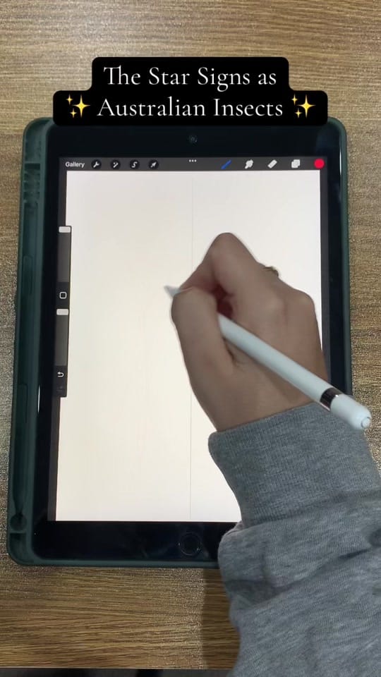 Post 6 by ArtbyBiancaRose on TikTok (video)