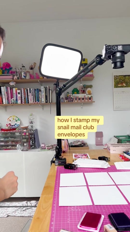 Post 6 by juliaockert on TikTok (video)