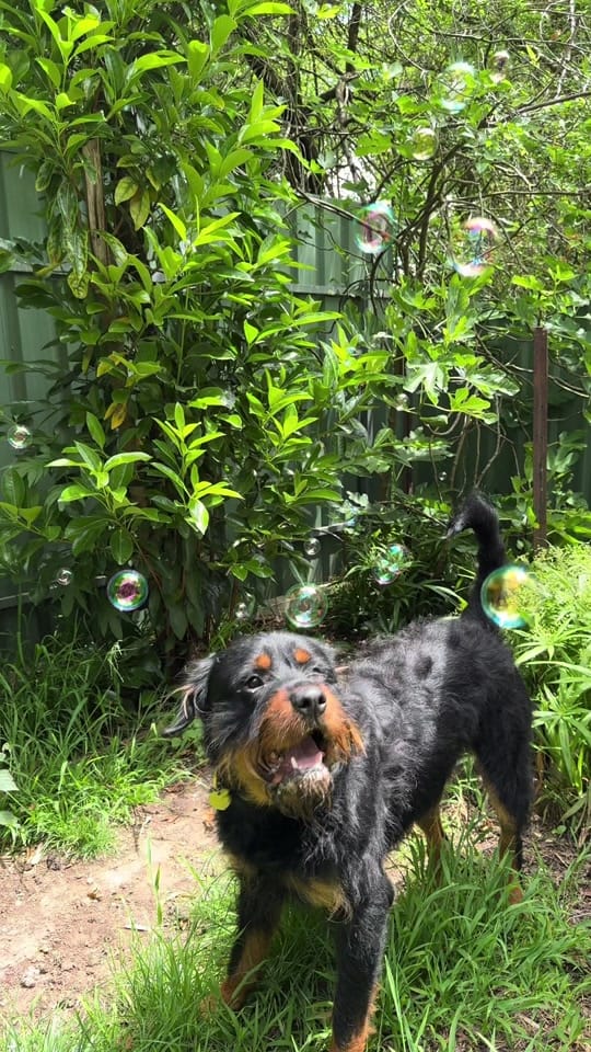 Post 1 by Jadey on TikTok (video)