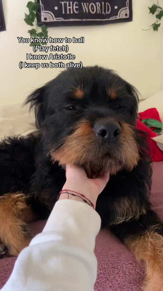 Post 4 by Jadey on TikTok (video)