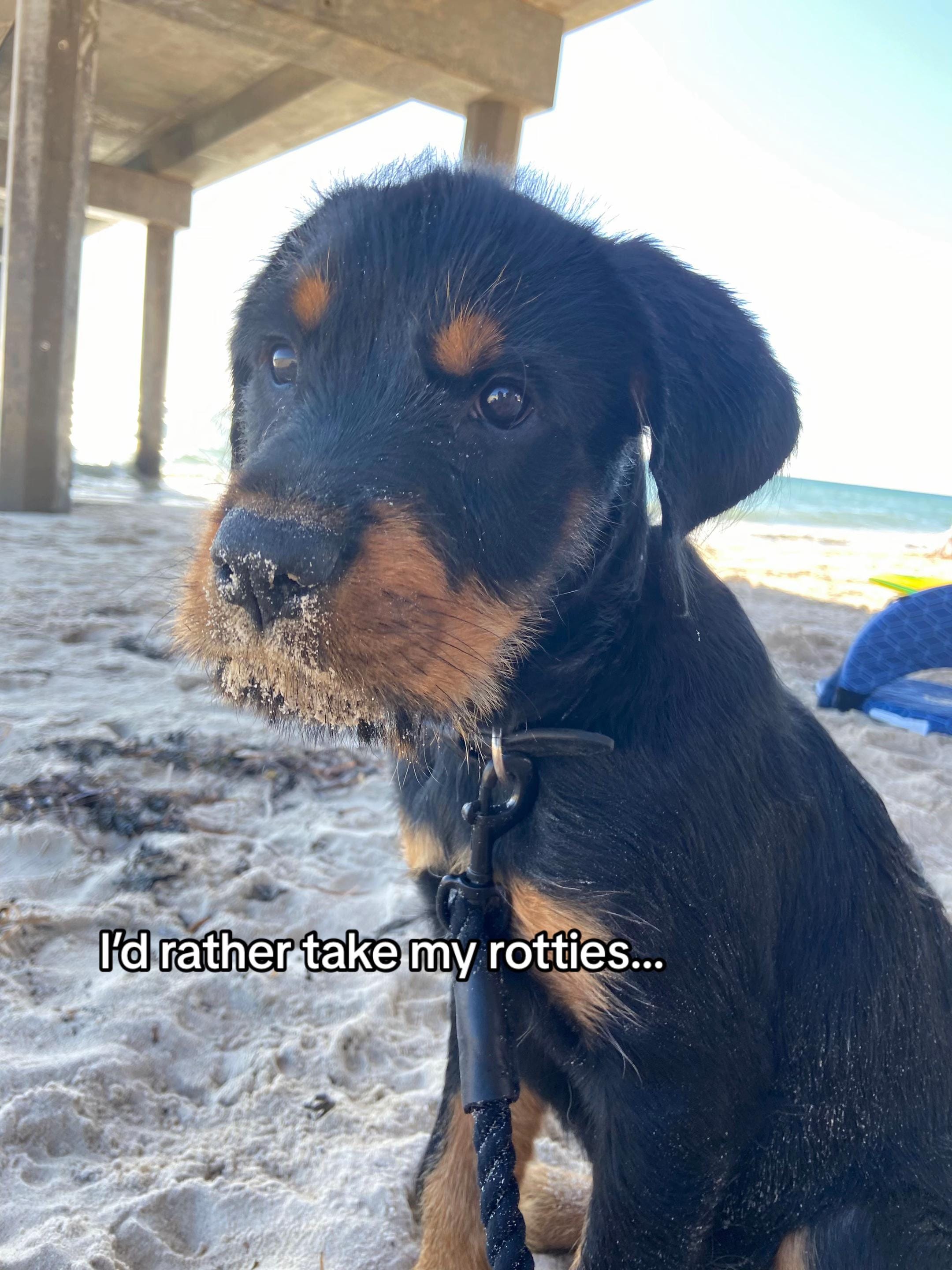 Post 5 by Jadey on TikTok (video)