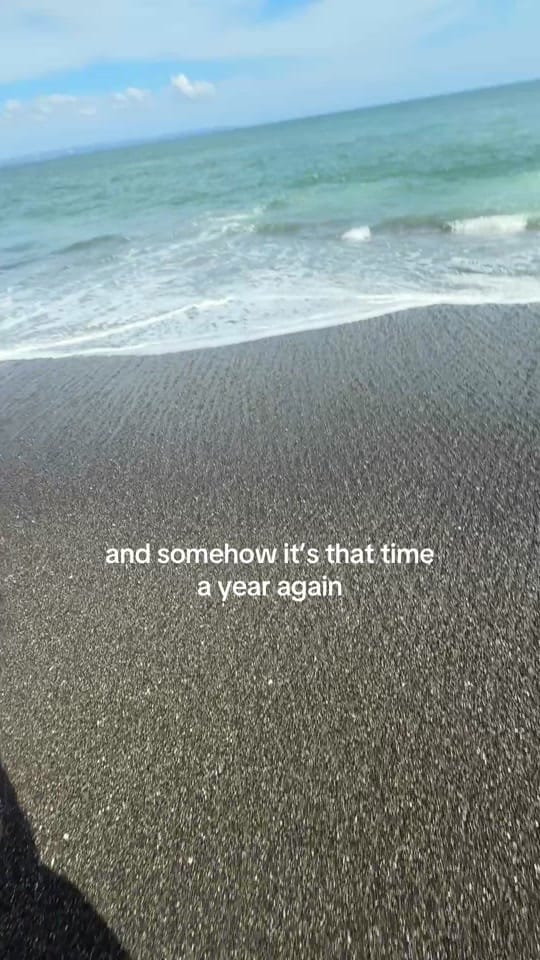 Post 4 by sonjaaannika on TikTok (video)