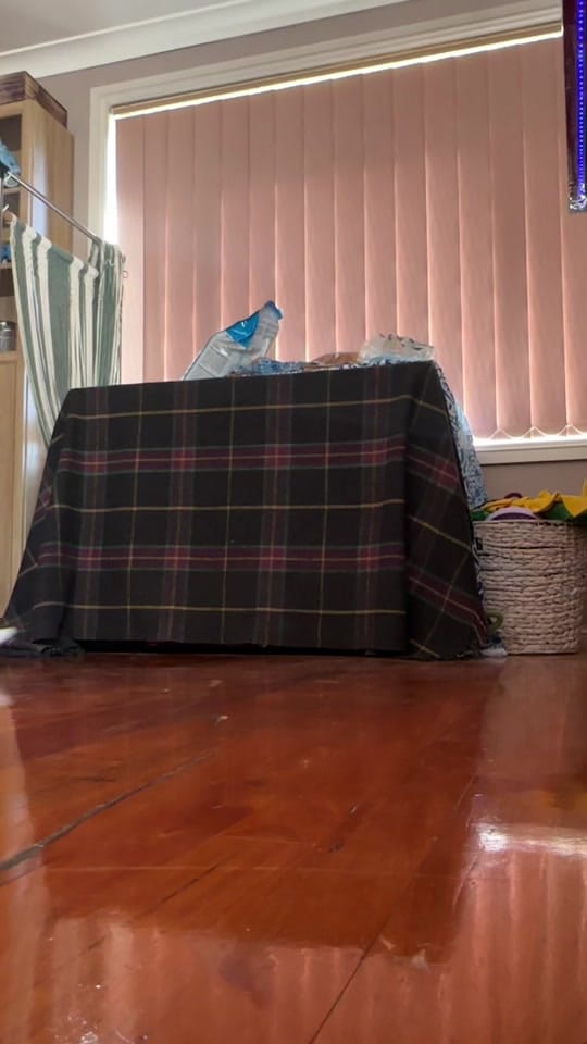 Post 8 by briajacqui on TikTok (video)