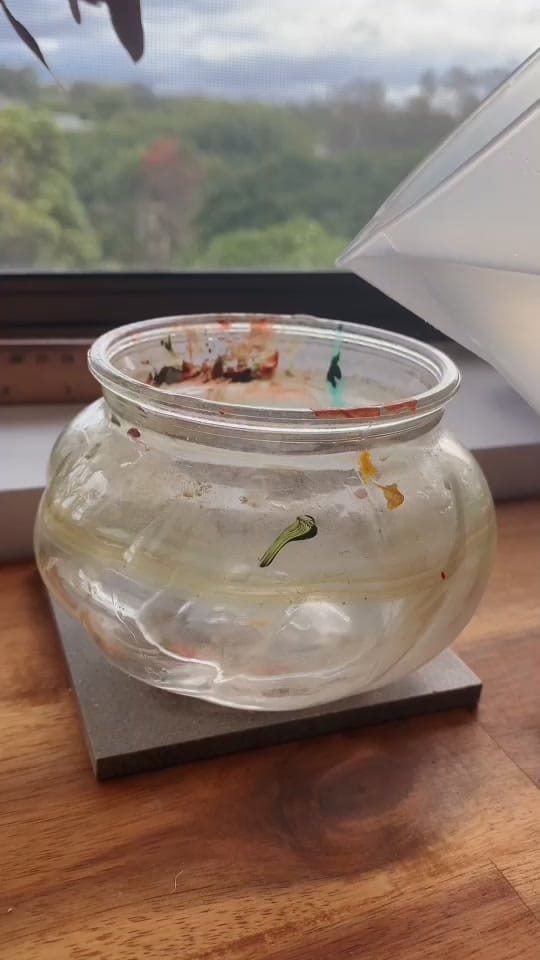 Post 6 by Maus Haus on TikTok (video)