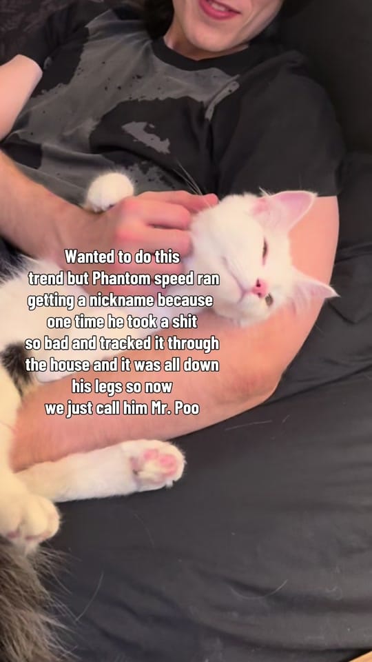 Post 8 by tattoosbychels on TikTok (video)
