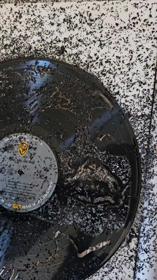 Post 6 by 📀 Broken Record 📀🇭🇲 on TikTok (video)