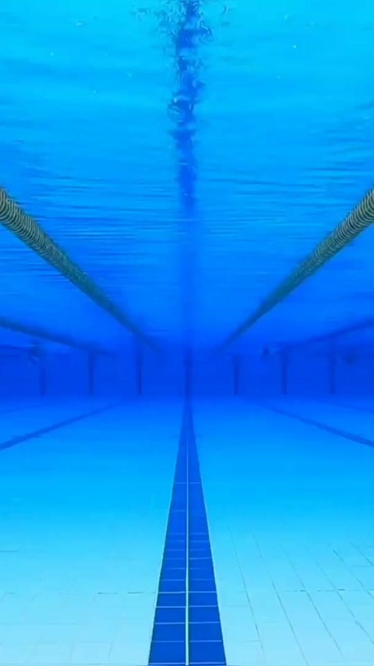 Post 7 by Zoe Poulis on TikTok (video)
