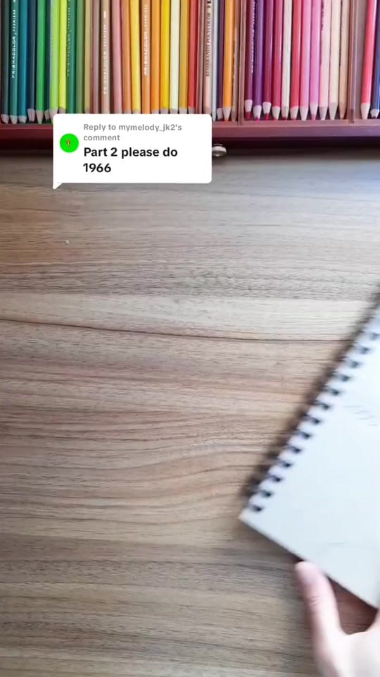 Post 9 by Michal Avigayil Shaw on TikTok (video)