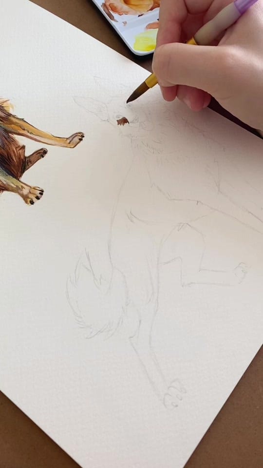 Post 5 by Michal Avigayil Shaw on TikTok (video)