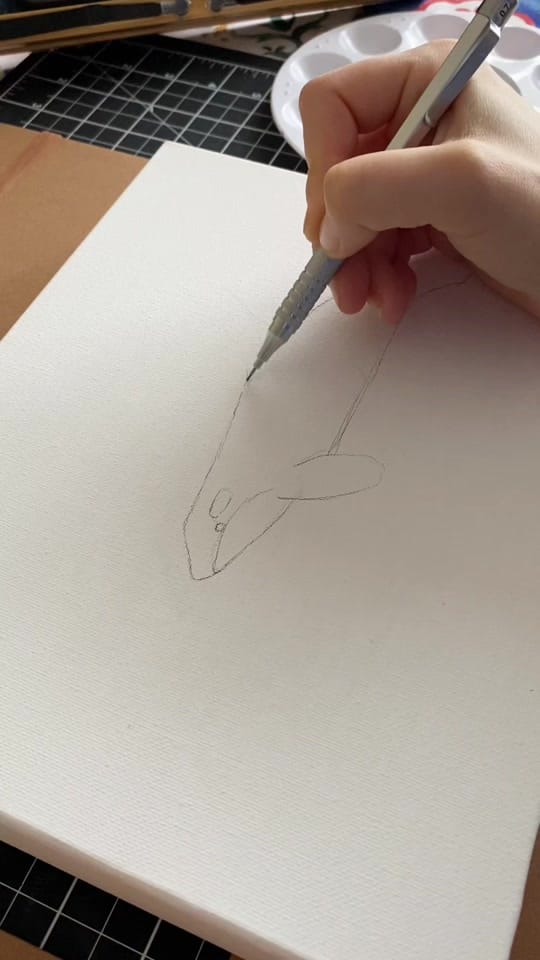Post 1 by Michal Avigayil Shaw on TikTok (video)