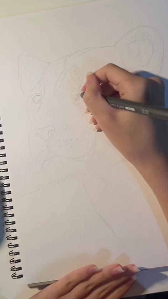 Post 10 by Tiarne Hunt on TikTok (video)