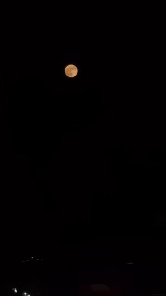 Post 10 by henna_by_nify on TikTok (video)