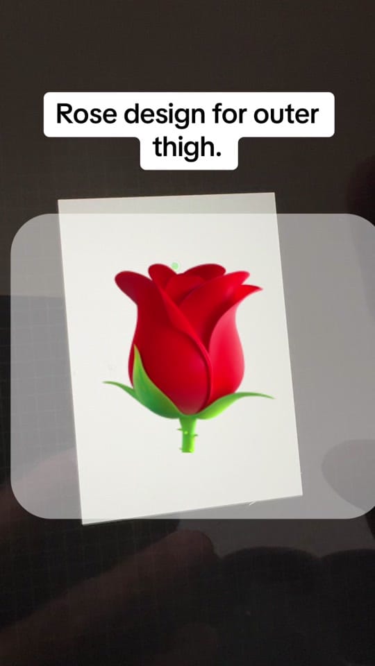 Post 4 by JVINK on TikTok (video)