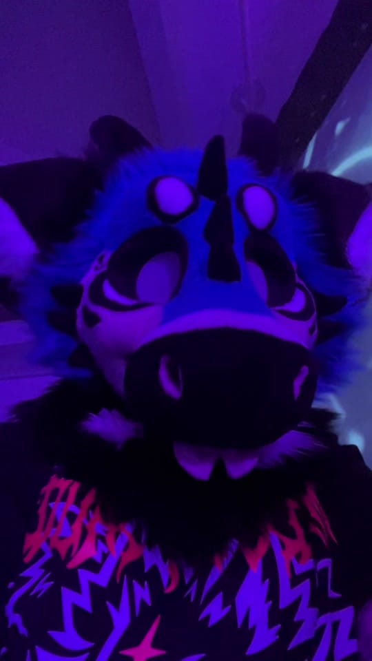 Post 6 by SNARLYKIT on TikTok (video)