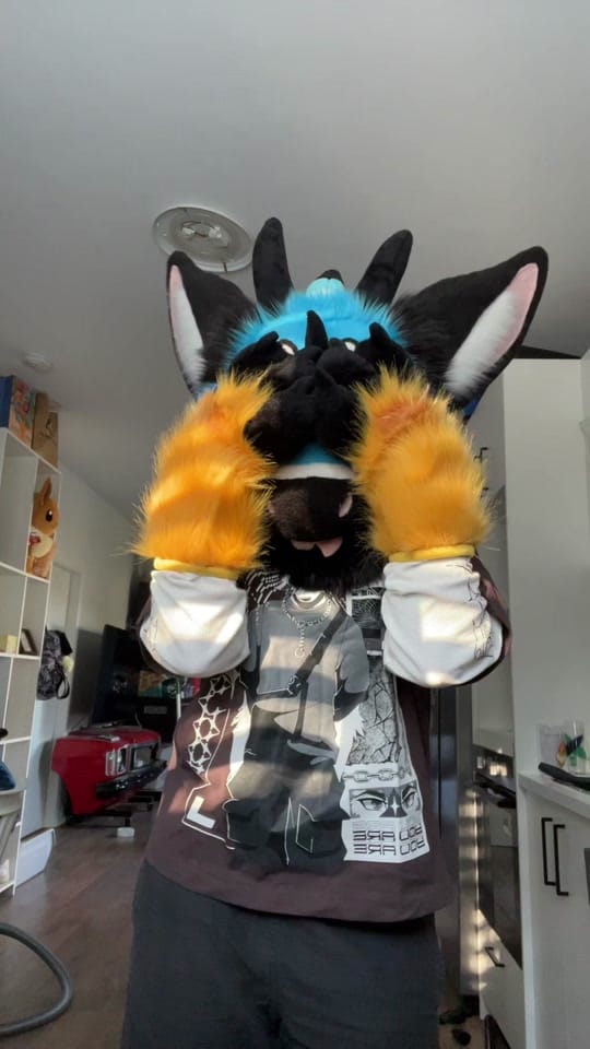 Post 1 by SNARLYKIT on TikTok (video)
