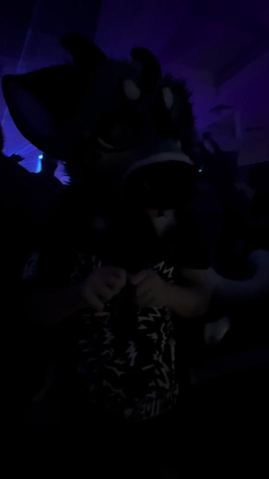 Post 10 by SNARLYKIT on TikTok (video)