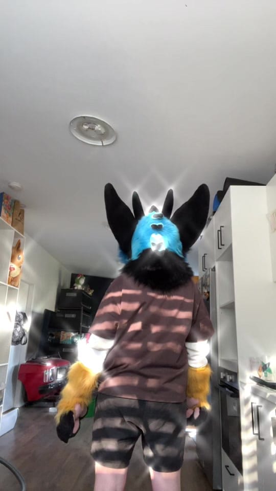 Post 2 by SNARLYKIT on TikTok (video)