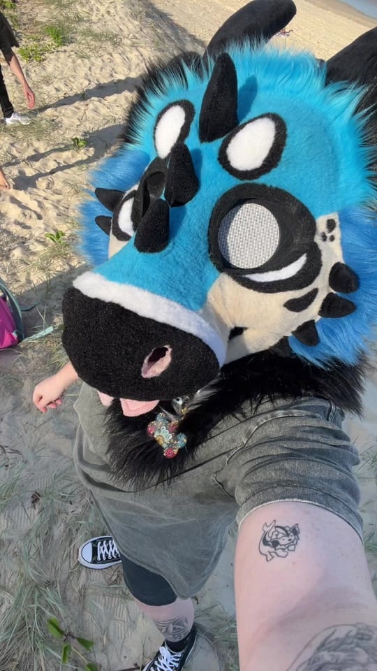 Post 8 by SNARLYKIT on TikTok (video)