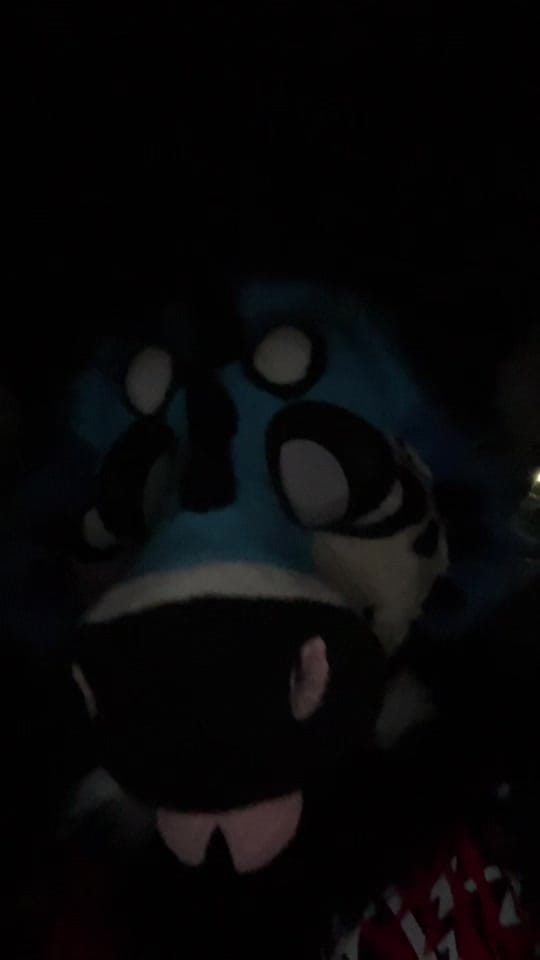 Post 9 by SNARLYKIT on TikTok (video)