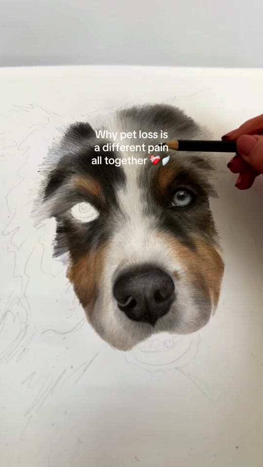 Post 1 by Caitlin Grace Art on TikTok (video)