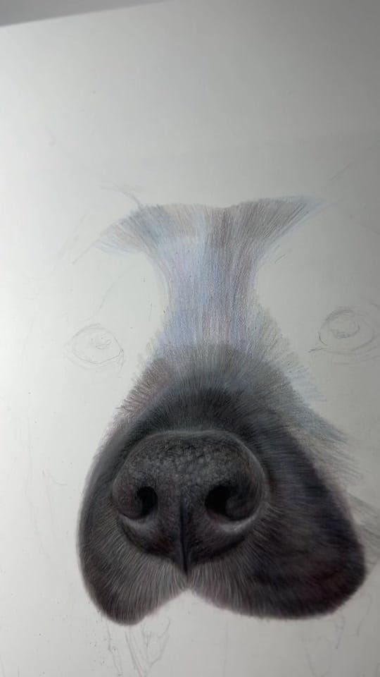 Post 5 by Caitlin Grace Art on TikTok (video)