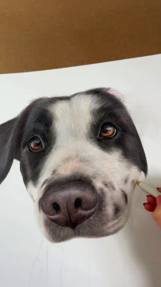 Post 4 by Caitlin Grace Art on TikTok (video)