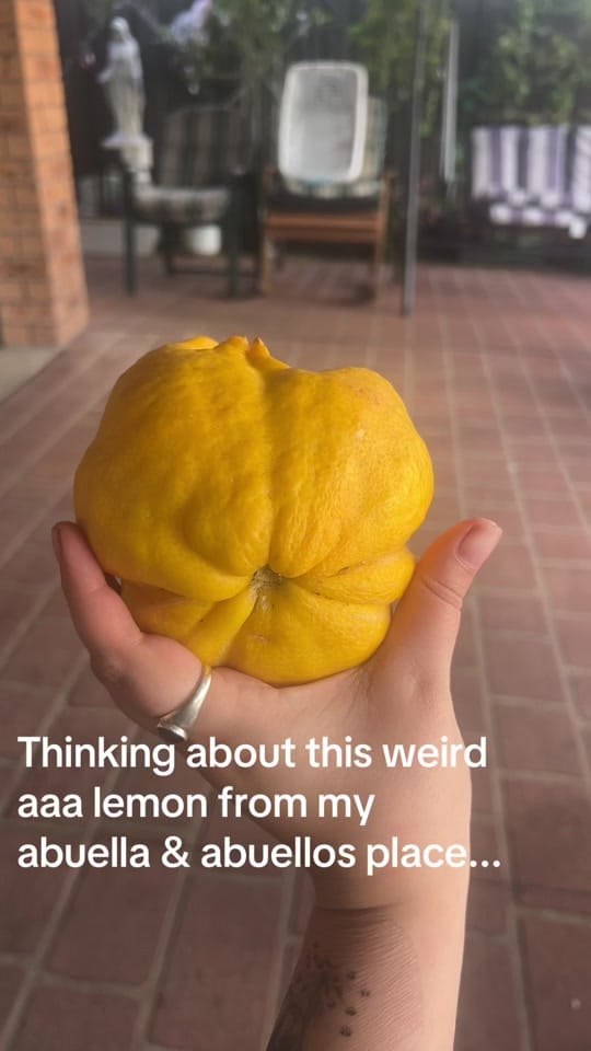 Post 4 by 🪻ℕ𝕦𝕋𝕫𝕪🪻 on TikTok (video)