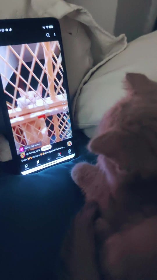 Post 1 by Satiya - សាទីយ៉ា 🇰🇭 on TikTok (video)