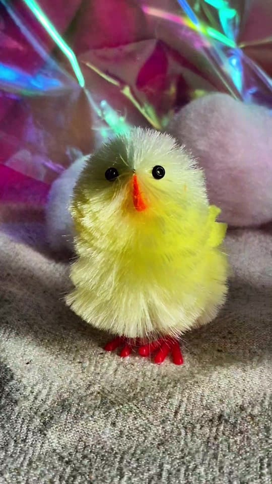 Post 4 by Teagan Leah on TikTok (video)