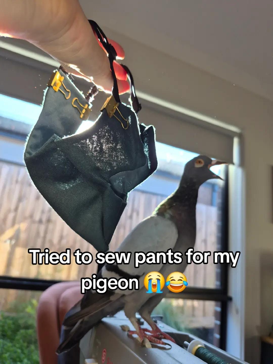 Post 2 by Teagan Leah on TikTok (video)