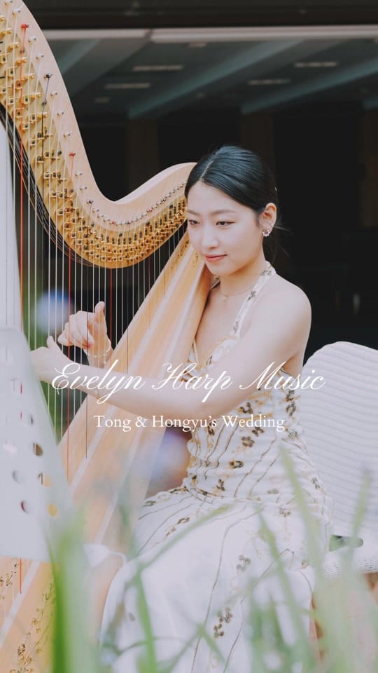 Post 5 by Evelyn Sydney Harpist on TikTok (video)