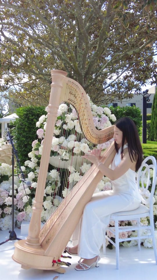 Post 4 by Evelyn Sydney Harpist on TikTok (video)