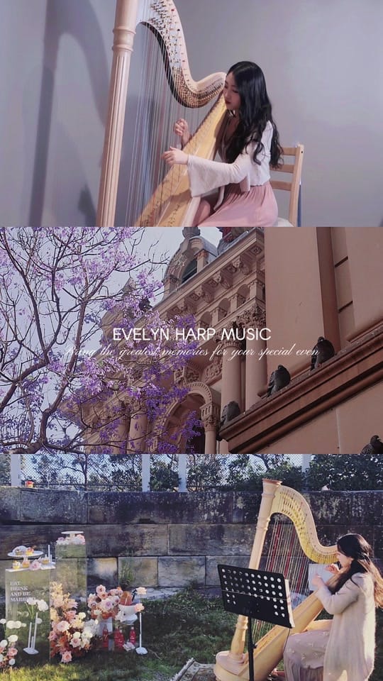 Post 7 by Evelyn Sydney Harpist on TikTok (video)
