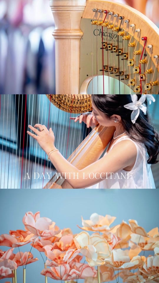 Post 6 by Evelyn Sydney Harpist on TikTok (video)