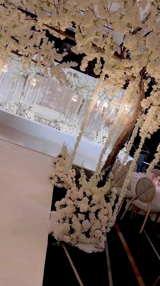 Post 5 by Chandni Events on TikTok (video)